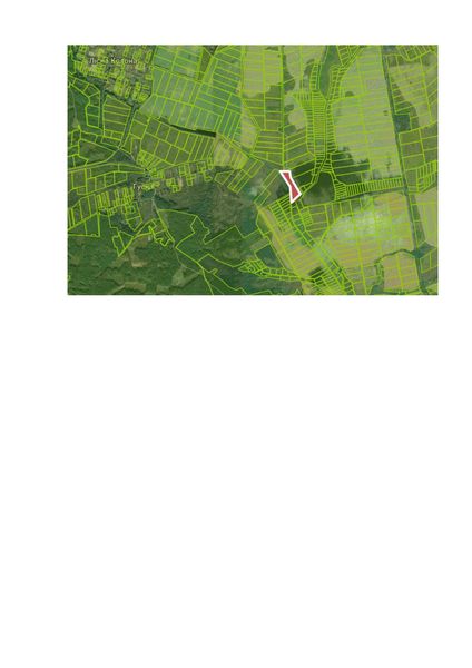 Схема місця розташування земельної ділянки (1) page-0001.jpg