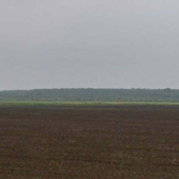 Фотографічне зображення земельної ділянки